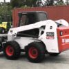 BOBCAT